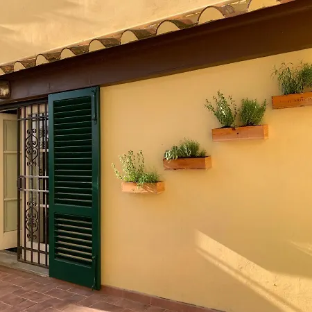 La Terrazza Di Via Elisa Bed & Breakfast 2*